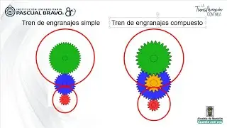 Relación de trasmisión en ruedas dentadas con tren de engranajes simples y compuesto
