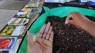 Dropping seeds...2026 garden.