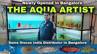 THE AQUA ARTIST Fish Hatchery Bangalore | Sams Discus India Distributor In Bangalore