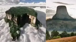 Tocon Arbol Gigante por encima de las Nubes?