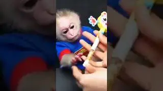 monkey eating candy  @chiks-  @UltraBollywood  @tseries  #shorts #chhotudada #mrindianhacker #viral
