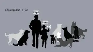 Practise how many are there  [video not narrated], Drill 1