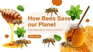 How Bees Save Our Planet Honey Pollinators Nature Small insects Bees Biodiversity