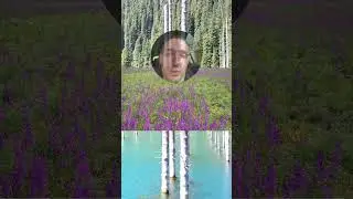 Невероятный сюрприз, который был снят на камеру! #shorts #tg 8tf