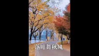 轻音乐《落叶舞秋风》 #走过的风景 #身边的风景无处不在 #每一帧都是热爱 #音乐歌曲 #手机摄影