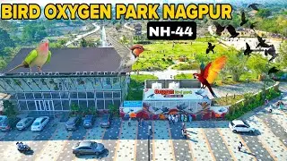 NHAI ने बनाया पहला Bird Oxyzen पार्क | National Highway -44 Par | Nagpur Update Maharashtra