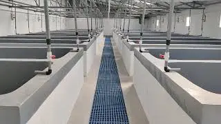 LRT OF SHRIMP HATCHERY | BKMN AQUA |  9533221100 | www.bkmnaqua.com