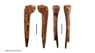 Dr  Alina Stupak   Zoomorphic figurine from Neolithic site Vovnyhy of Surska culture
