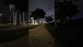 night walk
