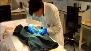 Institulo Nacional de Toxicología y Ciencias Forenses.avi