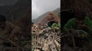 #himalayanlife
