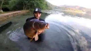 Carp Fishing at Lake Bled with Dejan Sovič (2018)