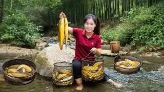 TIMELAPSE &mdash; Harvesting GIANT EELS Hidden Under Tree Roots in Muddy Field | Sell At Village Market