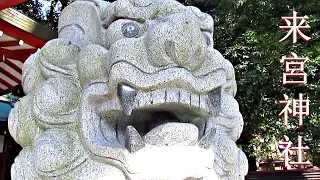 Kinomiya Jinja Shrine - Atami ᴴᴰ ● 来宮神社 熱海