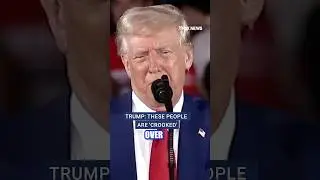 Trump slams 'fake polls' claiming he's lost momentum #shorts #foxnews #politics #fox #news #video