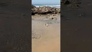 Crystal Cove State Beach Newport Beach California