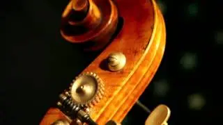 Emanuel Wilfer - Double Bass, Modell Testore