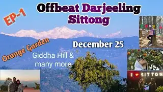 Offbeat Darjeeling। Sittong in December। Hill cart Road Giddha hill। Daw hill। kurseong। The Nest 
