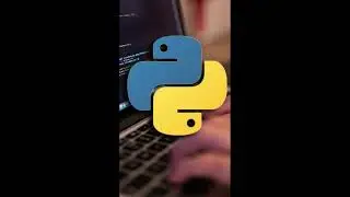 История Python #python #IT #programming #gaming #history #netherlands #minecraft