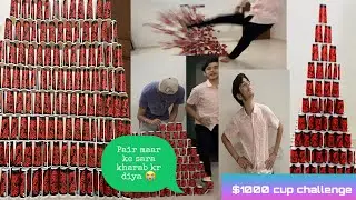 World Record Largest Cup Tower || $1000 Cup Tower challenge | #djsb #cuptower #challenge #viral #cup