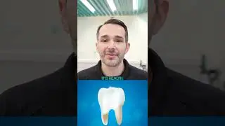 Building Your Best Smile: The Three Essentials for Lasting Dental Care