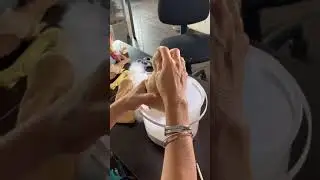 Como hacer una hermosa Gallina