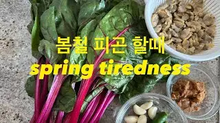 봄철 영양식 조개 근대국 ( clam with chard soup )