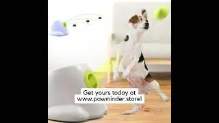 Introducing our Automatic Dog Tennis Ball Launcher!
