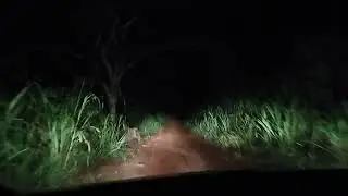 Voltando da igreja.