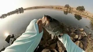 The First Time I&rsquo;ve Ever Sight Casted for a Largemouth