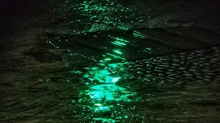 Heavy Rain at Night with Emerald Street Light Reflections | Dark Urban Rain Ambience