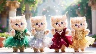 💃बिल्ली&nbsp;डांस Cute Cat Couple Dancing 😻 Dushtu Kokil Funny Dance&nbsp;#funny #viral #shorts
