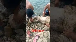 Degree Maila #Nepali movie