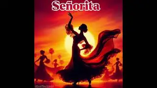 ShuffleMusic- Se&ntilde;orita 