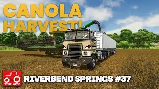 HARVESTING CANOLA IN THE NEW FIELD!! Riverbend Springs FS25 Timelapse Farming Simulator 25 Ep 37