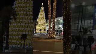 Incredible Cannes 🇨🇵⛱️#travel #france #france #luxury #youtubeshorts