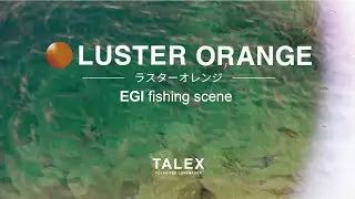 ラスターオレンジの見え方｜エギング編【TALEX公式】
