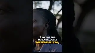 Il potere di una piccola azione: la storia del colibr&igrave;