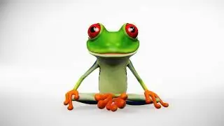 Peace Frog Specialty Cleaning | Carpet Cleaning Near Me | Austin | Round Rock | Georgetown | Texas