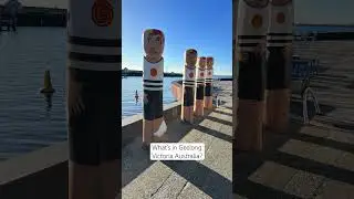 What&rsquo;s in Geelong Victoria Australia? #australia #visitaustralia #geelong #shorts #short
