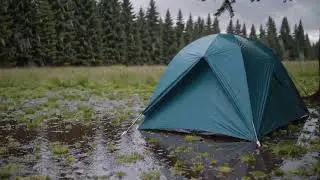 Rain Camping Sounds | Tent in the Forest | Relaxing Nature Ambience for Sleep