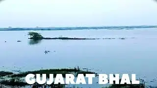 Gujarat bhal video