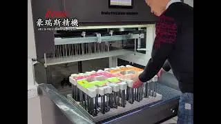 Hruis Auto Stripping and Blanking Machine/ Waste Stripping Machine/ Waste Remove Machine/ 豪瑞斯 整版清废机