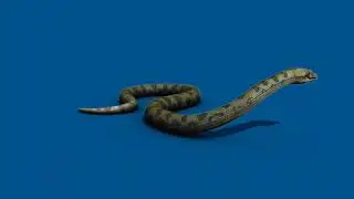 Snake blue background snake saap star Bhakti Jagat channel