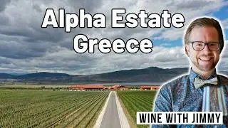 Alpha Estate & Amyndeon: Greece&rsquo;s Cool-Climate Secret | Xinomavro, Old Vines & Terroir