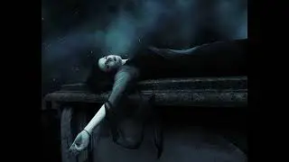 The Final Rest /Animal Steel