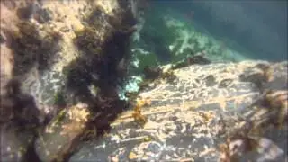 Fenella beach peel isle of man snorkel