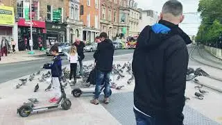 Dublin in Spring