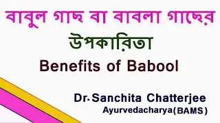 Outstanding Benefits of Babool in Bengali