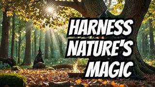 Tree Energy in Green Witchcraft: Rituals to Unlock Nature&rsquo;s Power
